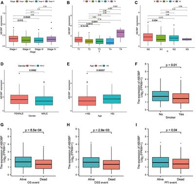 ABI3BP is a prognosis biomarker related with clinicopathological features and immunity infiltration of lung tumor